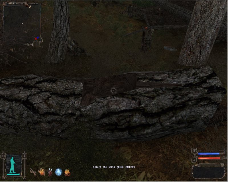 Stash: Log in the forest (Click image or link to go back)